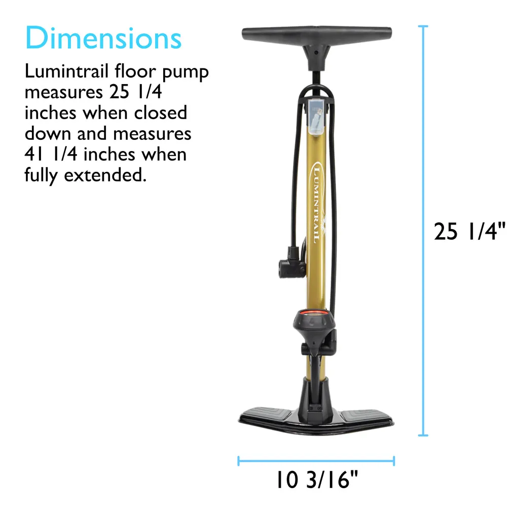 Lumintrail 160 PSI Dual Valve Bike Pump with High Pressure Gauge PM-32B