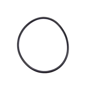 Speck Pump Lid O-Ring 2921141210