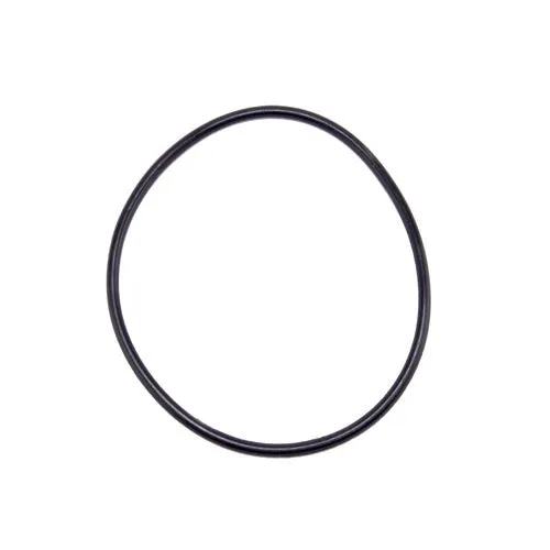 Speck Pump Lid O-Ring 2921141210